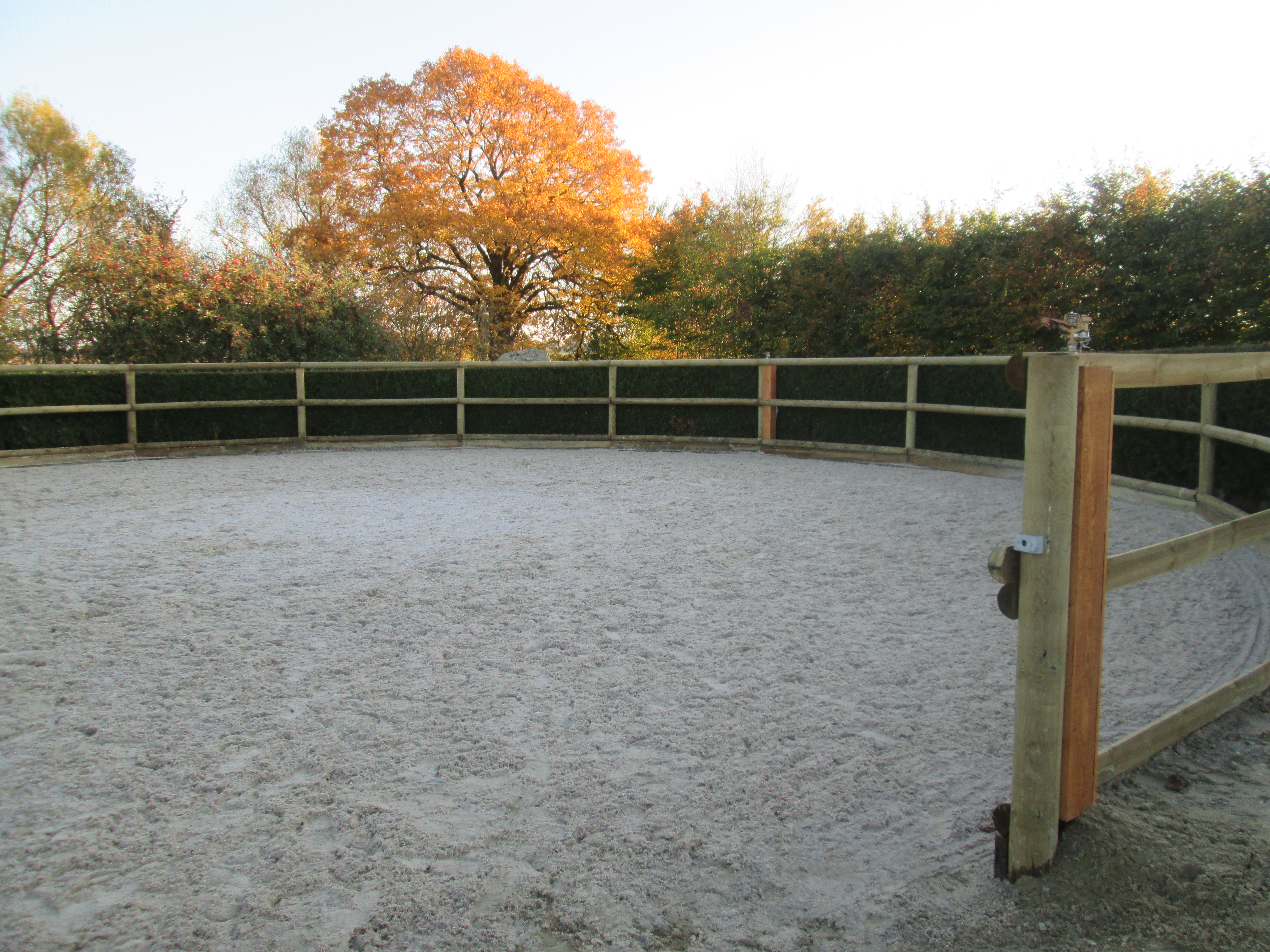 Rond de longe 1